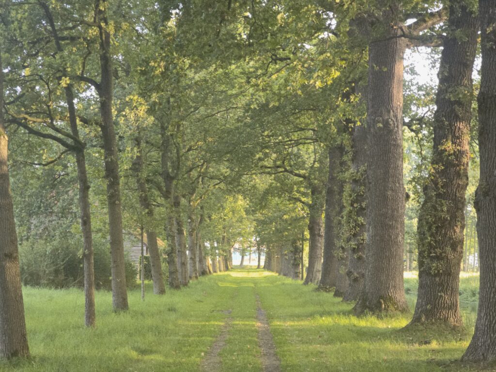 3D wandeling Landgoed Ennemaborg Groninger Landschap