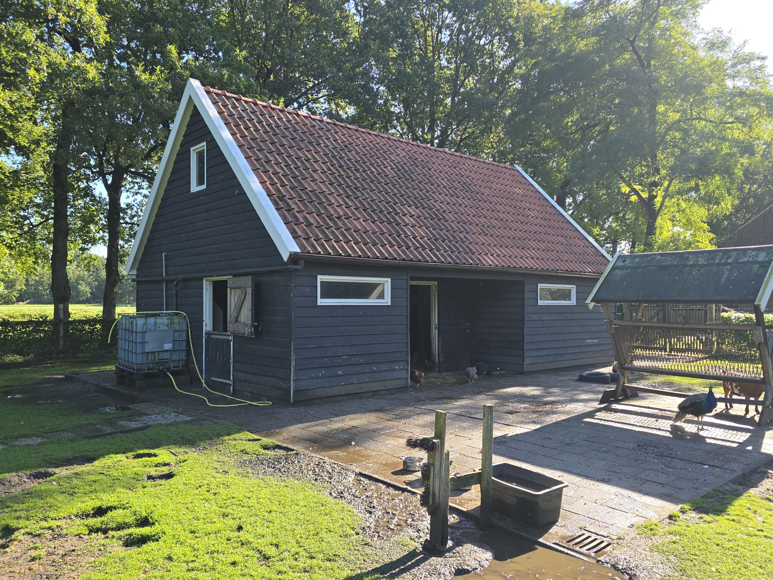 Ennemaborg